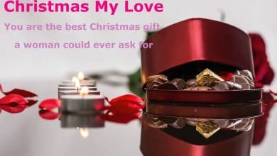 Christmas Wishes for Boyfriend