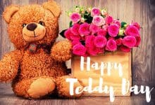 Happy Teddy Day Pic