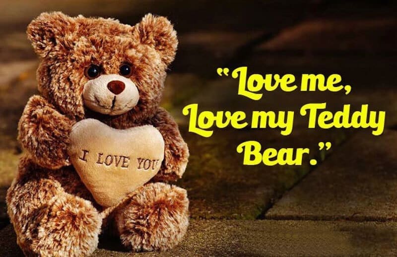 Love me, Love my Teddy