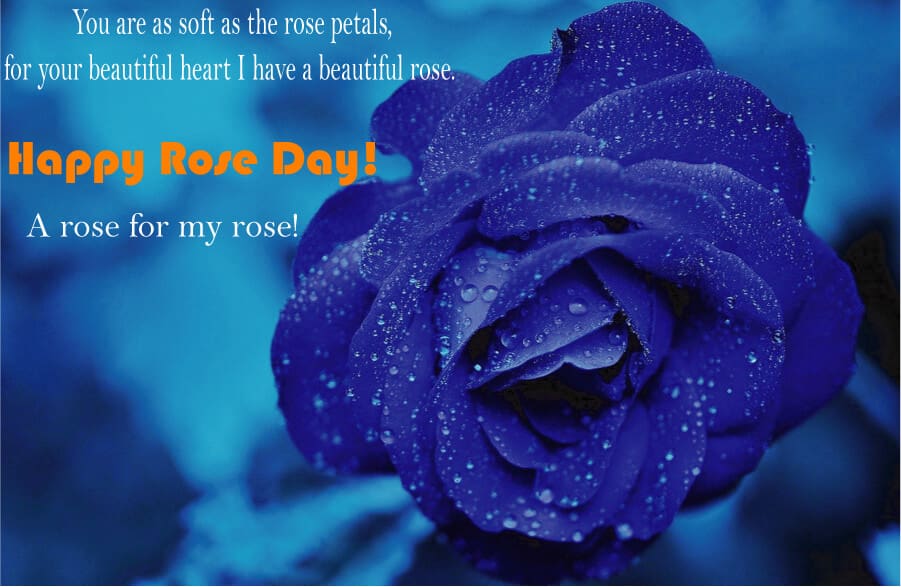 Rose Day Pic Wishes