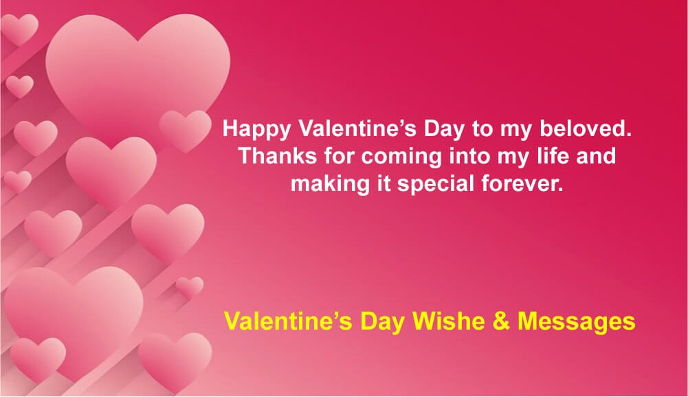 For valentine everyone wishes day