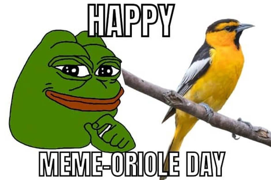Memorial Day Memes Images