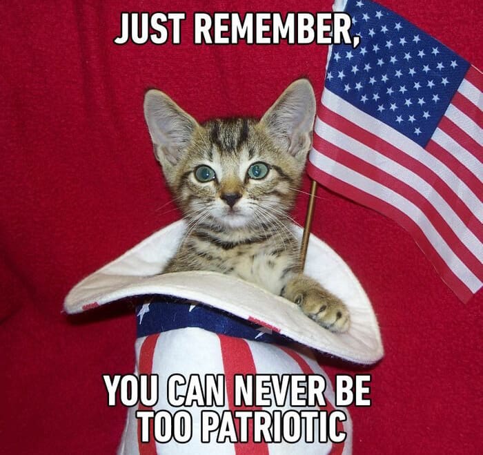 Funny Happy Independence Day Memes Images