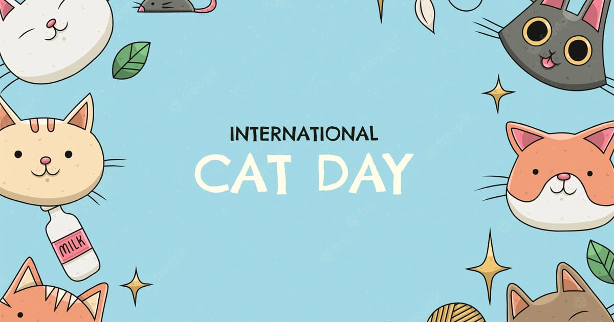 International Cat Day images (1)
