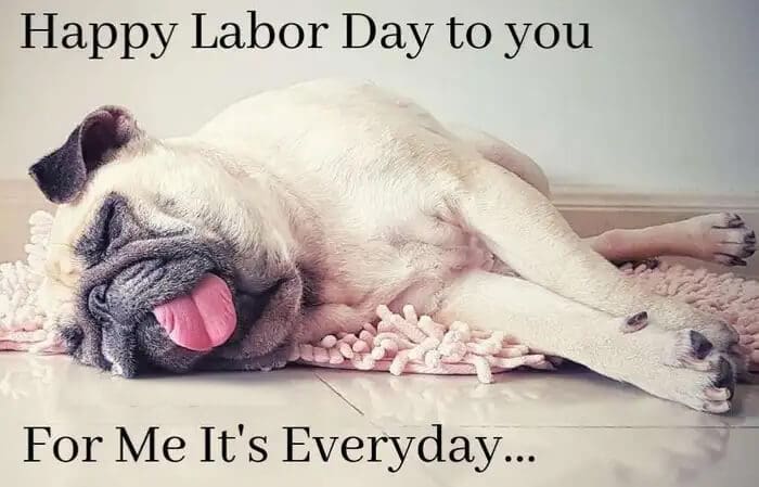Labor Day 2022 Funniest Memes, Images and Messages