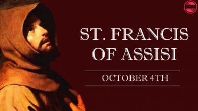 St Francis Assisi