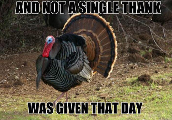 Beautiful Thanksgiving Memes